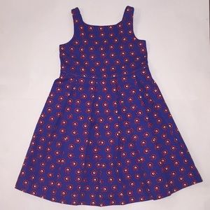 Janie and Jack lined blue dress with floral print